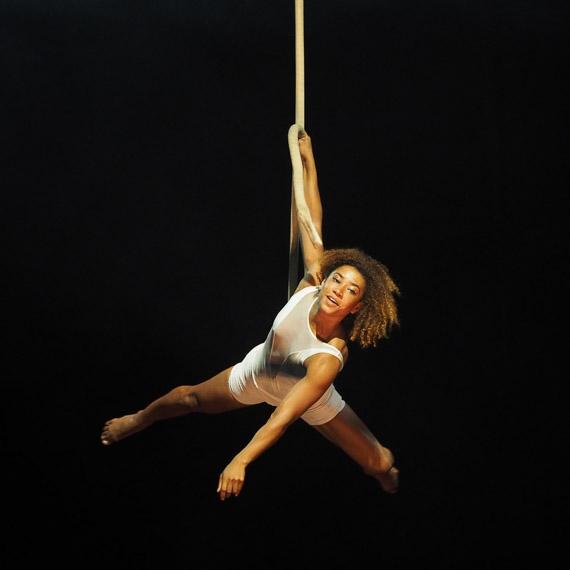 Circus  
